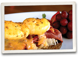 Fergus&Bix -Eggs Benedict